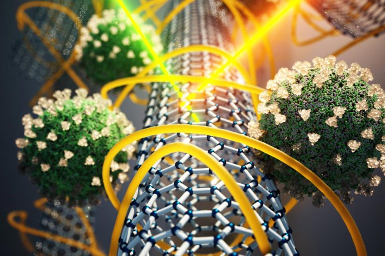 Capteur SARS-CoV-2 à nanotubes de carbone