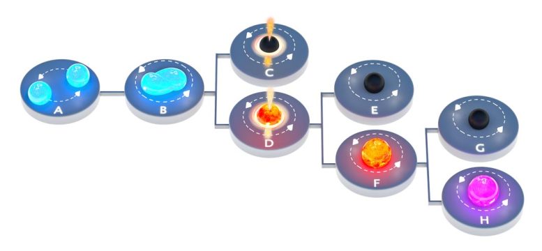 Schéma du résultat de la fusion d'étoiles à neutrons binaires