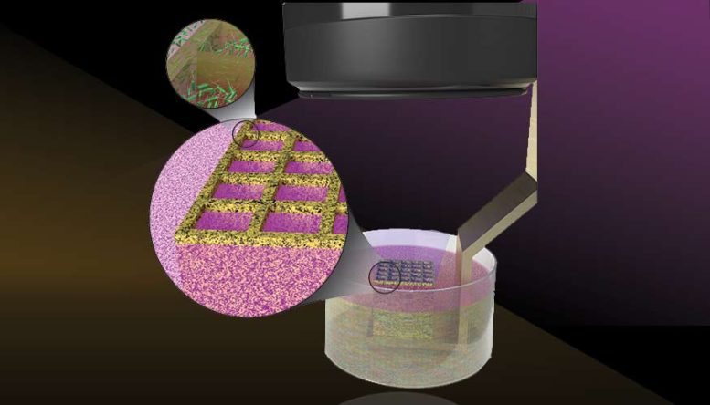 Des microbes imprimés en 3D pour améliorer les biomatériaux