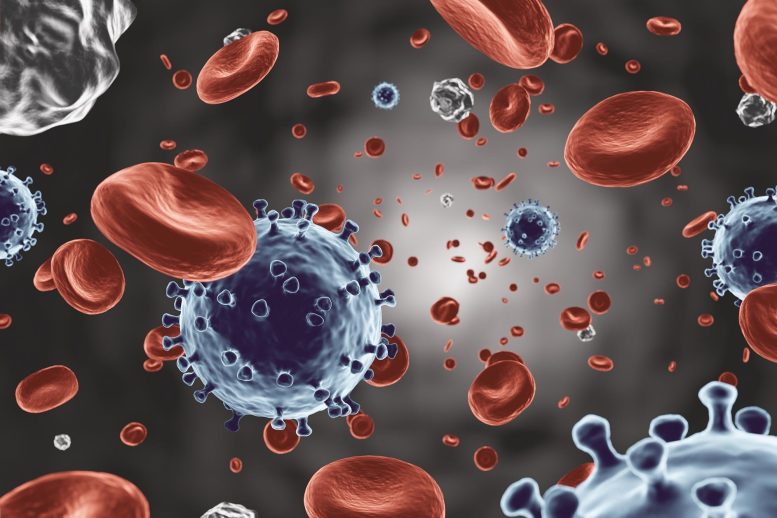 Illustration des cellules sanguines du coronavirus