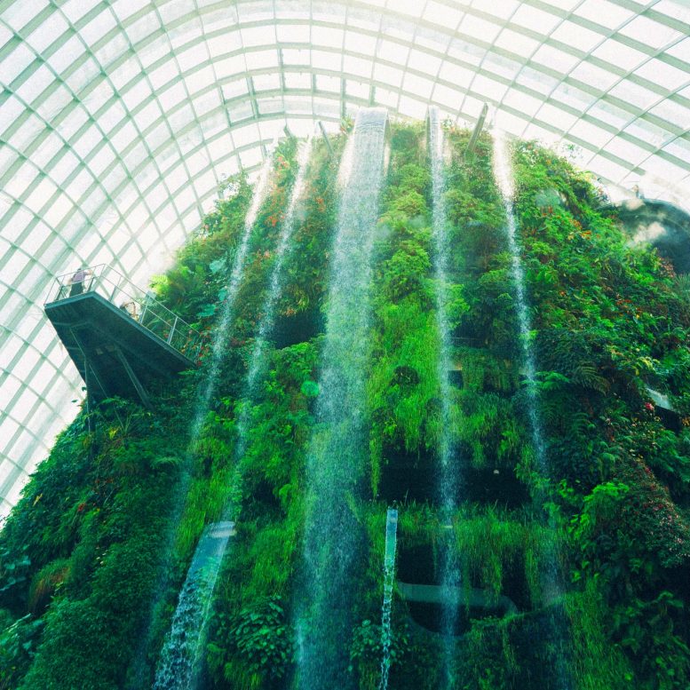 Concept de construction verte de cascade intérieure