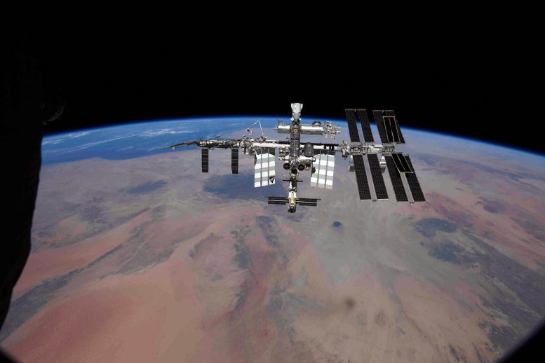 Station spatiale internationale vue de Soyouz-MS18