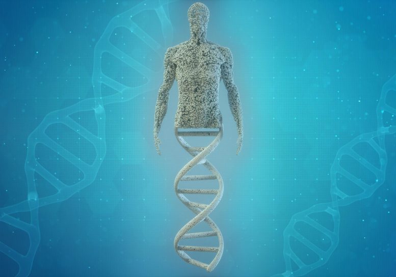 Concept d'ADN humain