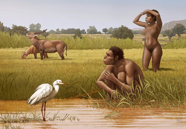 Homo bodensis Diorama