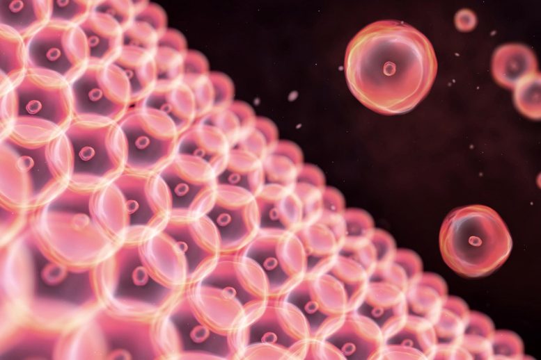 Illustration de cellules de peau rose