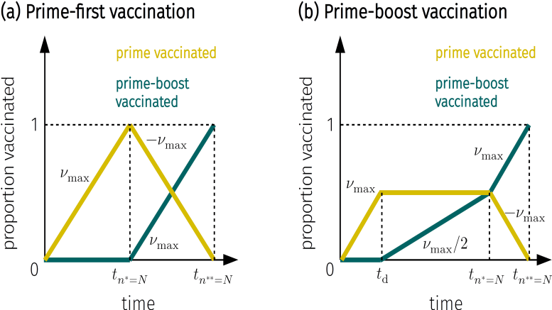 Comparaison des stratégies de vaccination
