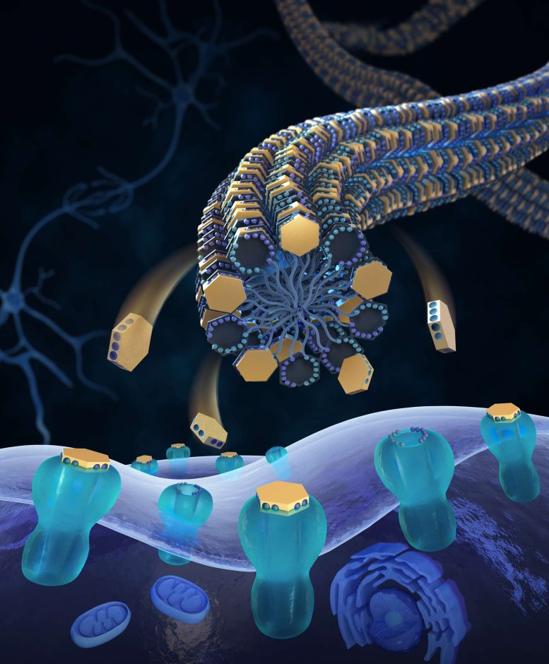 Livraison de tétrodotoxine aux canaux nerveux sodiques via des nanofibres bioinspirées
