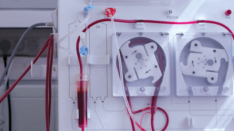 Appareil de transfusion sanguine