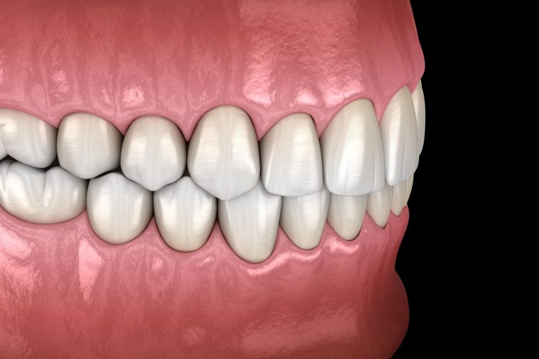 Concept de santé bucco-dentaire