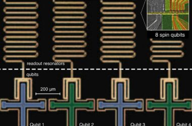 Spin Qubit and Superconducting Qubit Comparison