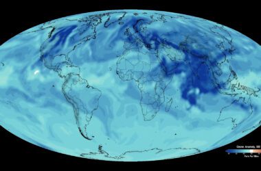 Global Ozone Levels