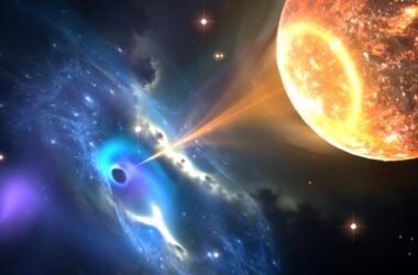 Neutron Star Black Hole