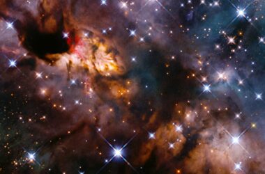 Prawn Nebula IC 4628