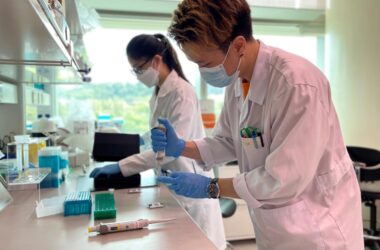 Rapid Neutralizing Antibody Test Lab Prototype