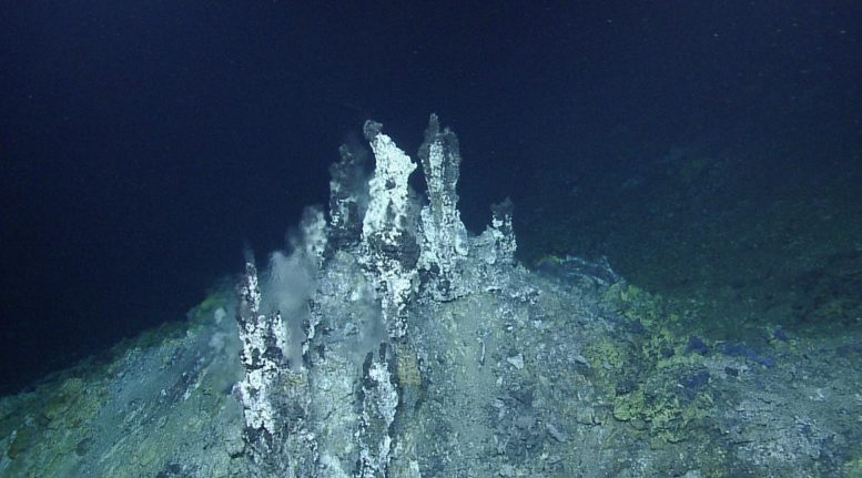 Structure de la cheminée du champ de ventilation hydrothermale de Sea Cliff