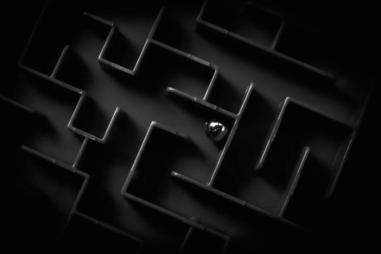 Labyrinthe sombre