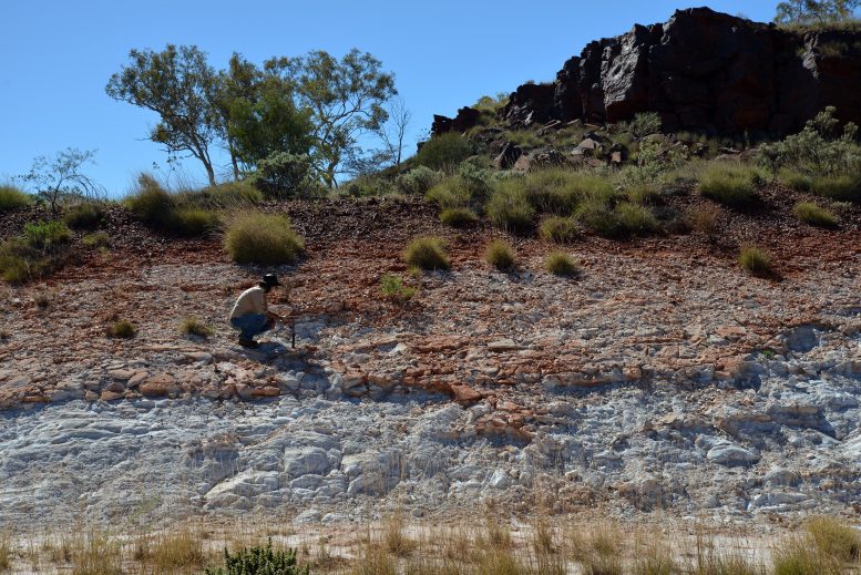 Le schiste du mont McRae en Australie occidentale