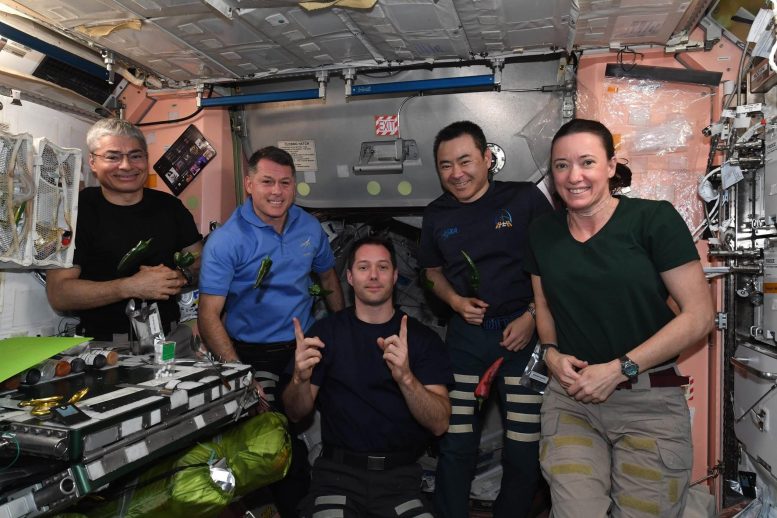 Les astronautes SpaceX Crew-2 de la NASA à bord de l'ISS