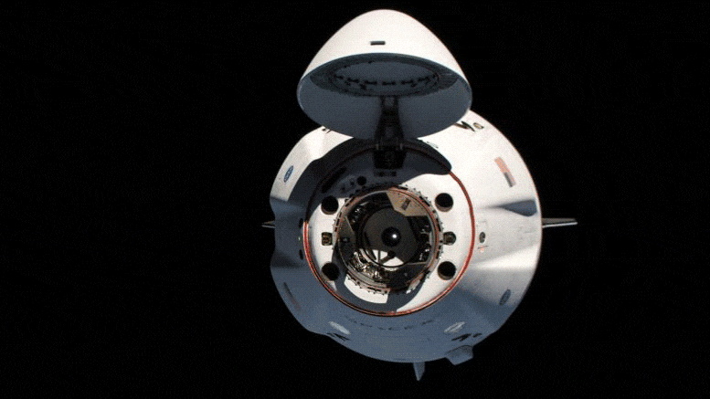 NASA SpaceX Crew Dragon Endurance amarré à la station spatiale