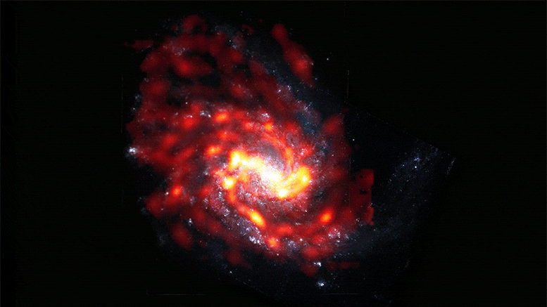 Qu'est-ce qui tue les galaxies ?  Résoudre un mystère de longue date en astrophysique