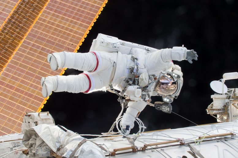 L'astronaute Scott Kelly lors d'une sortie dans l'espace