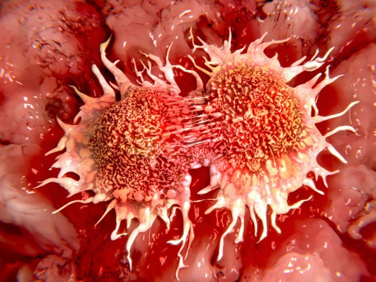 Illustration de la division des cellules cancéreuses