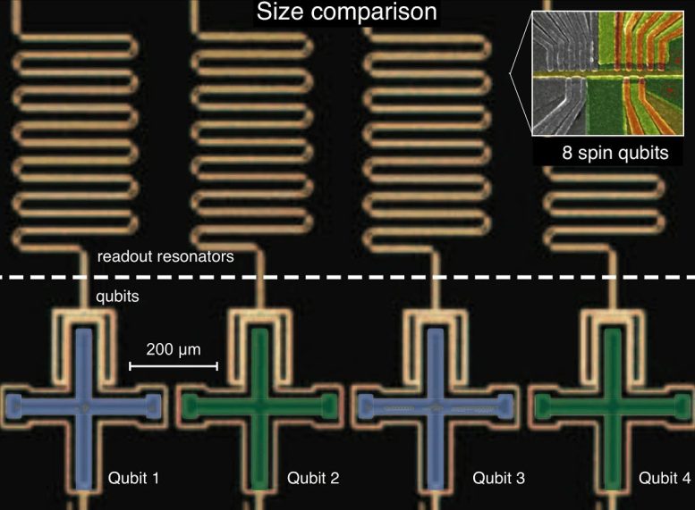 Comparaison du qubit de spin et du qubit supraconducteur
