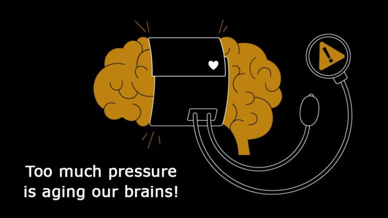 Trop de pression vieillit notre cerveau
