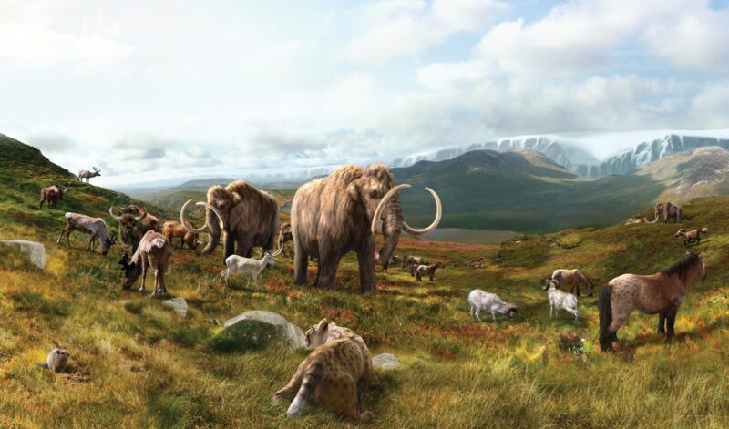 Une découverte d'ADN ancien révèle que des mammouths laineux, des chevaux sauvages ont survécu des milliers d'années plus qu'on ne le croyait