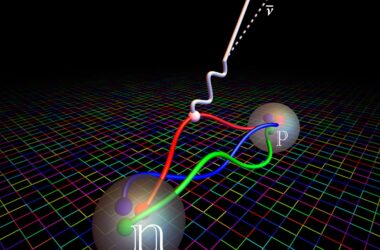 Percer le mystère de l'univers primordial dépend de l'estimation de la durée de vie des neutrons
