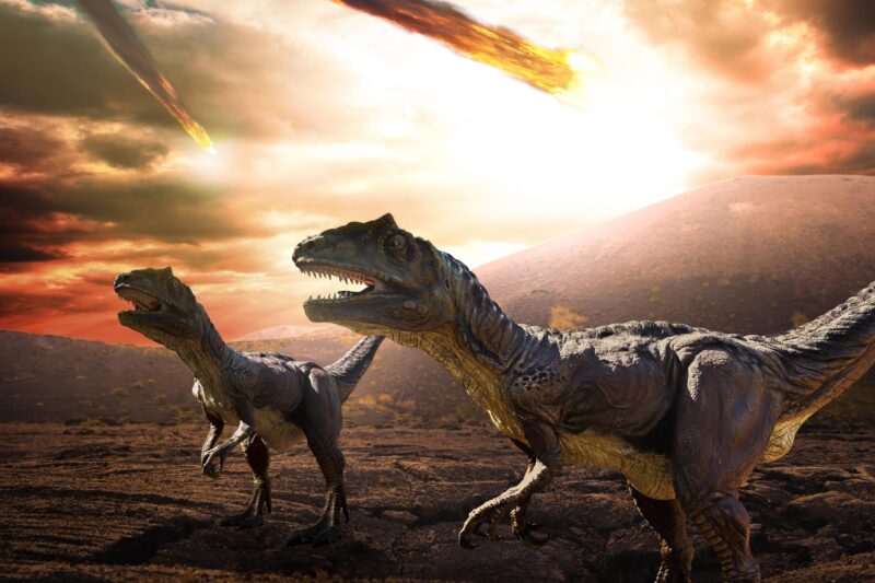 Le printemps dernier des dinosaures : une étude révolutionnaire indique le moment de l'impact de l'astéroïde Chicxulub