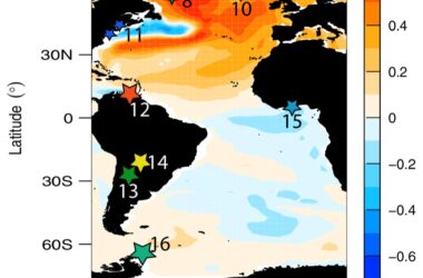 AMOC Sea Surface Temperature Fingerprint