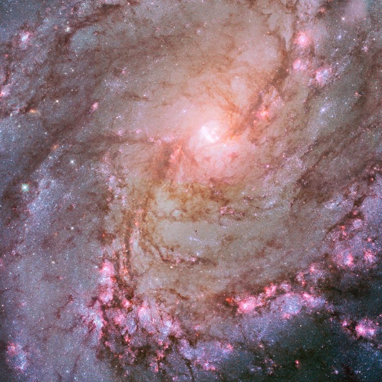Télescope spatial Hubble M83