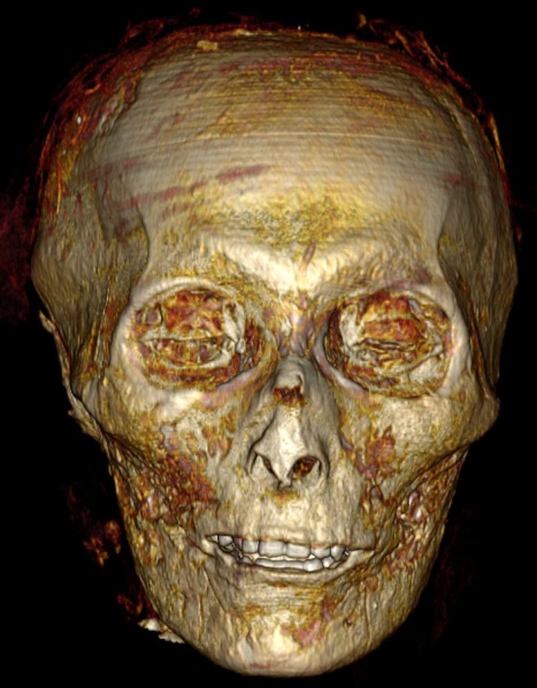 Crâne du pharaon Amenhotep I
