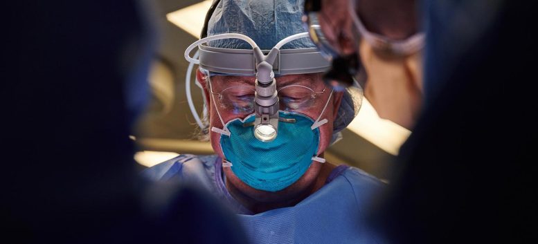Chirurgie de xénotransplantation Robert Montgomery