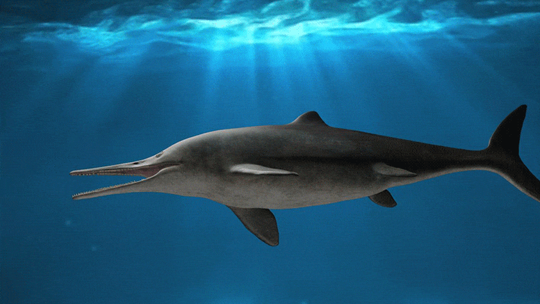 Kyhytysuka : Découverte d'un « lézard poisson » hypercarnivore vieux de 130 millions d'années