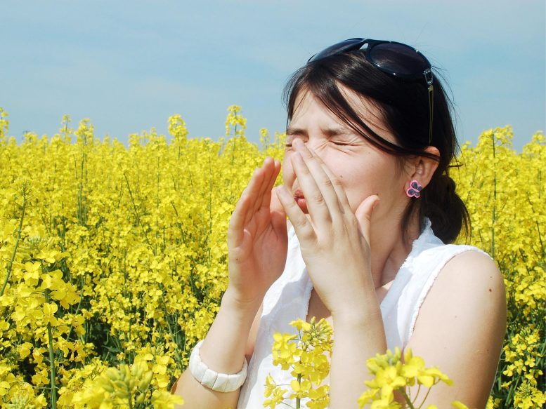 Allergies au pollen rhume des foins