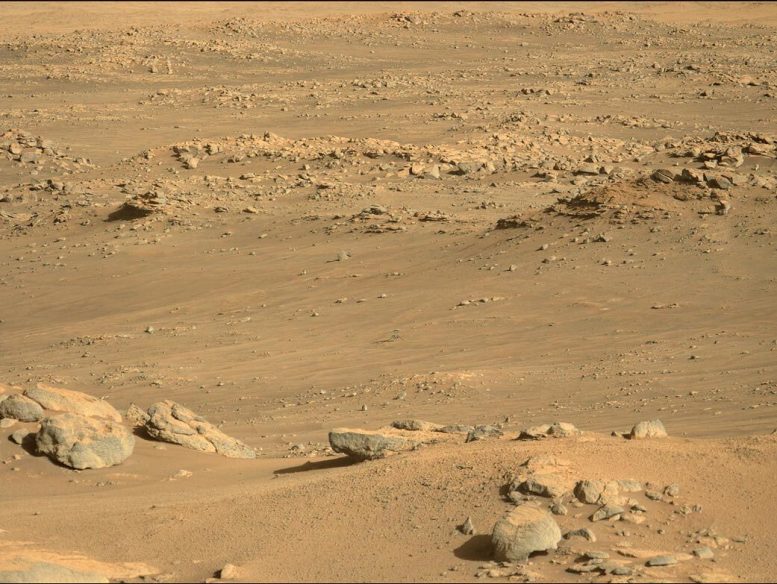 Surface inclinée de l'hélicoptère Mars Ingenuity