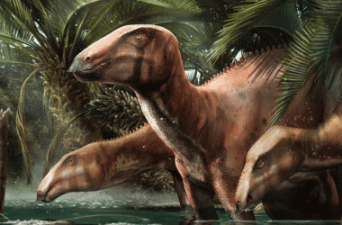 Un incroyable trésor de dinosaures en Italie réécrit l'histoire, la géographie et l'évolution