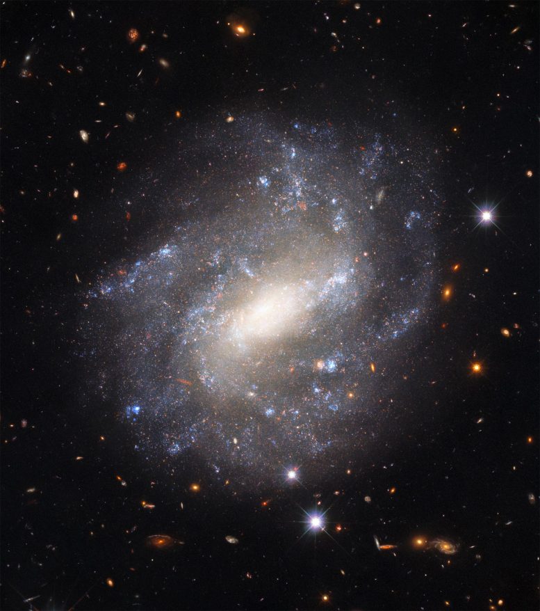 Galaxie spirale UGC 9391