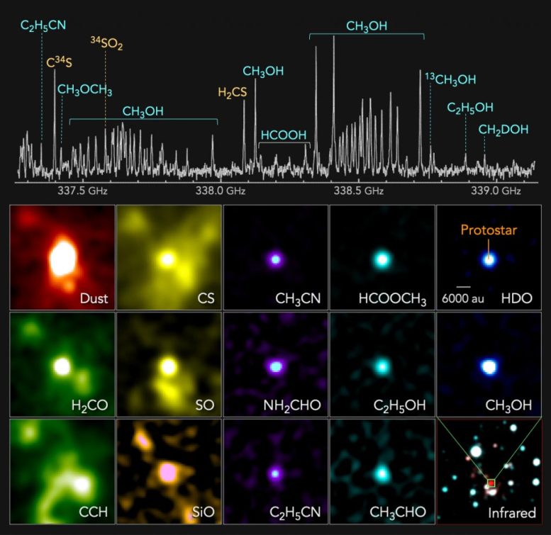 Protostar de la galaxie externe extrême du spectre radio