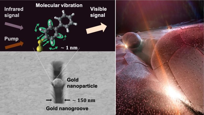 Un dispositif moléculaire transforme l'infrarouge en lumière visible