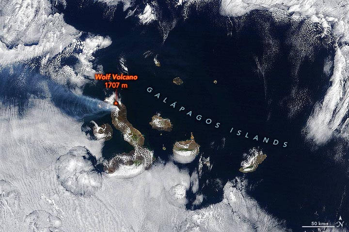 Îles Galápagos Janvier 2022 Annoté