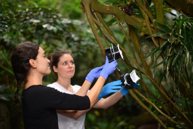 Christina Lynggaard et Kristine Bohmann collectent des échantillons d'air au zoo de Copenhague