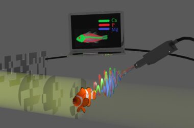 X-Ray Computational Ghost Fluorescence Analysis