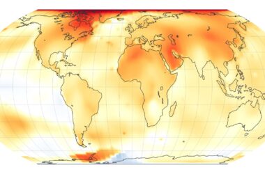 2021 La tendance au réchauffement de la Terre se poursuit : Les 8 dernières années ont été les plus chaudes de l'histoire de la planète