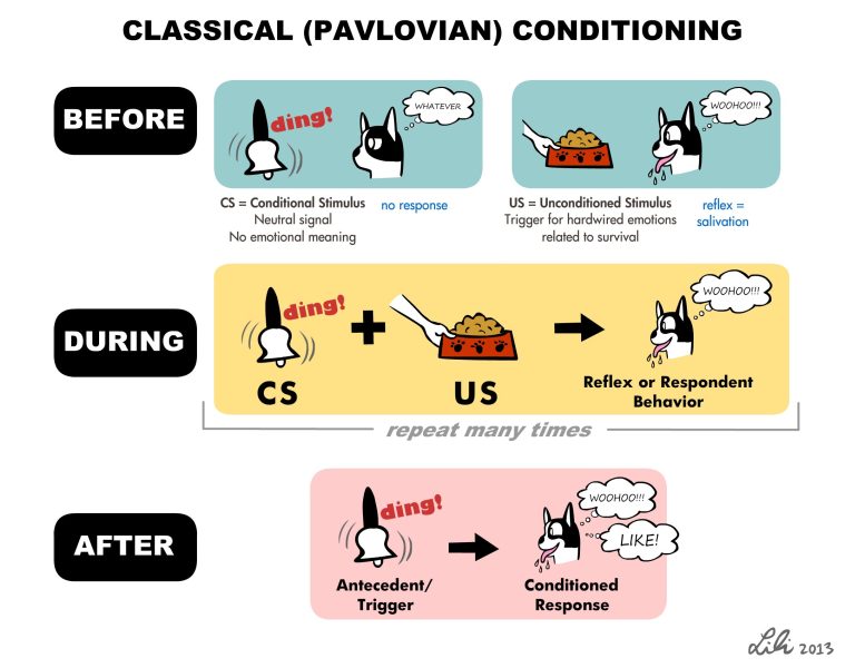 Conditionnement classique (Pavlovien)