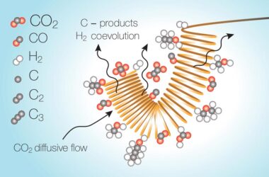 Bottleneck in Carbon Dioxide Conversion
