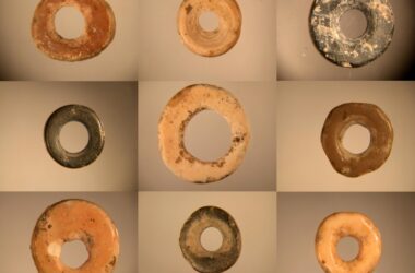 Des perles anciennes en coquille d'œuf d'autruche révèlent un réseau social vieux de 50 000 ans à travers l'Afrique