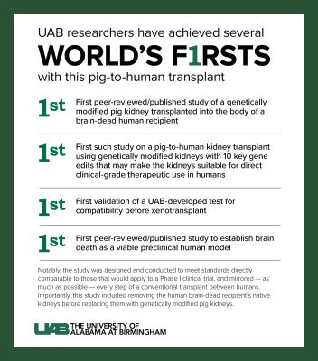 L'UAB réalise la première transplantation porc-homme au monde